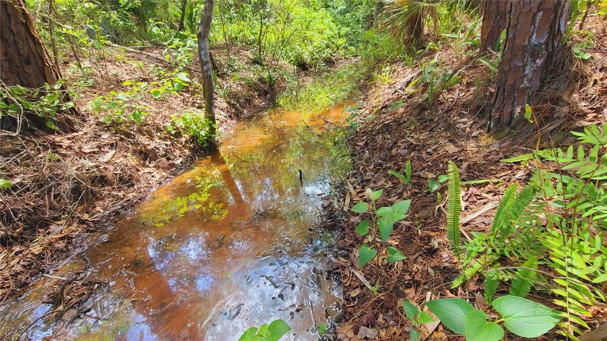 1013 CUPID AVENUE — photo 27 of 55