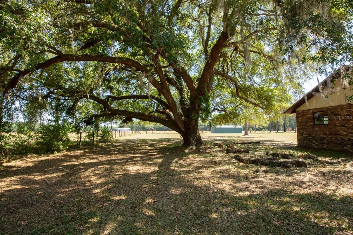 13296 COUNTY ROAD 231 — photo 5 of 52