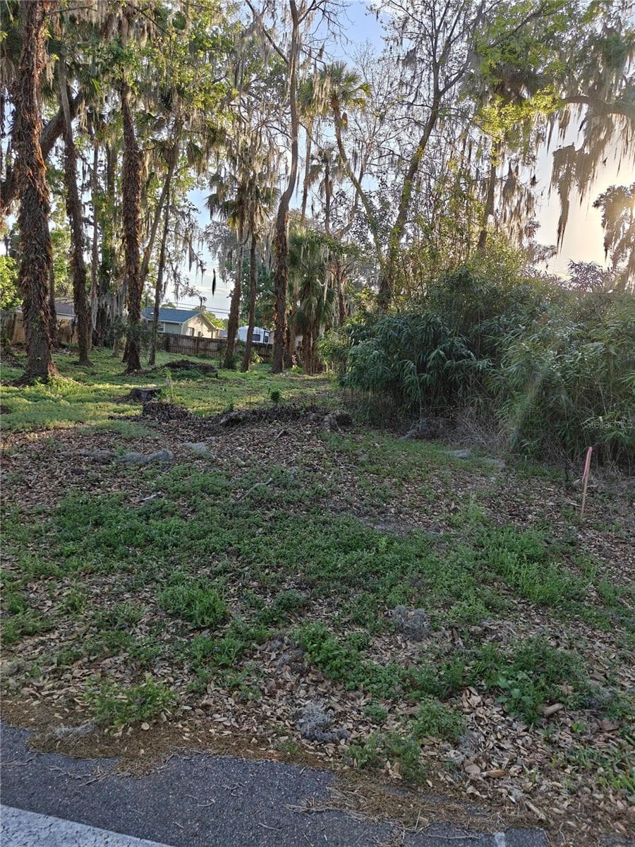 2214 NEEDLE PALM DRIVE — photo 1 of 3