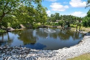 1250 PINELLAS AVENUE — photo 45 of 50