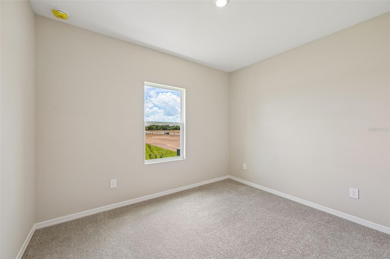 5919 FRESH FLORA DRIVE — photo 14 of 27