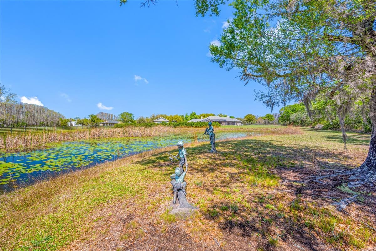 11939 PASCO TRAILS BOULEVARD — photo 58 of 64
