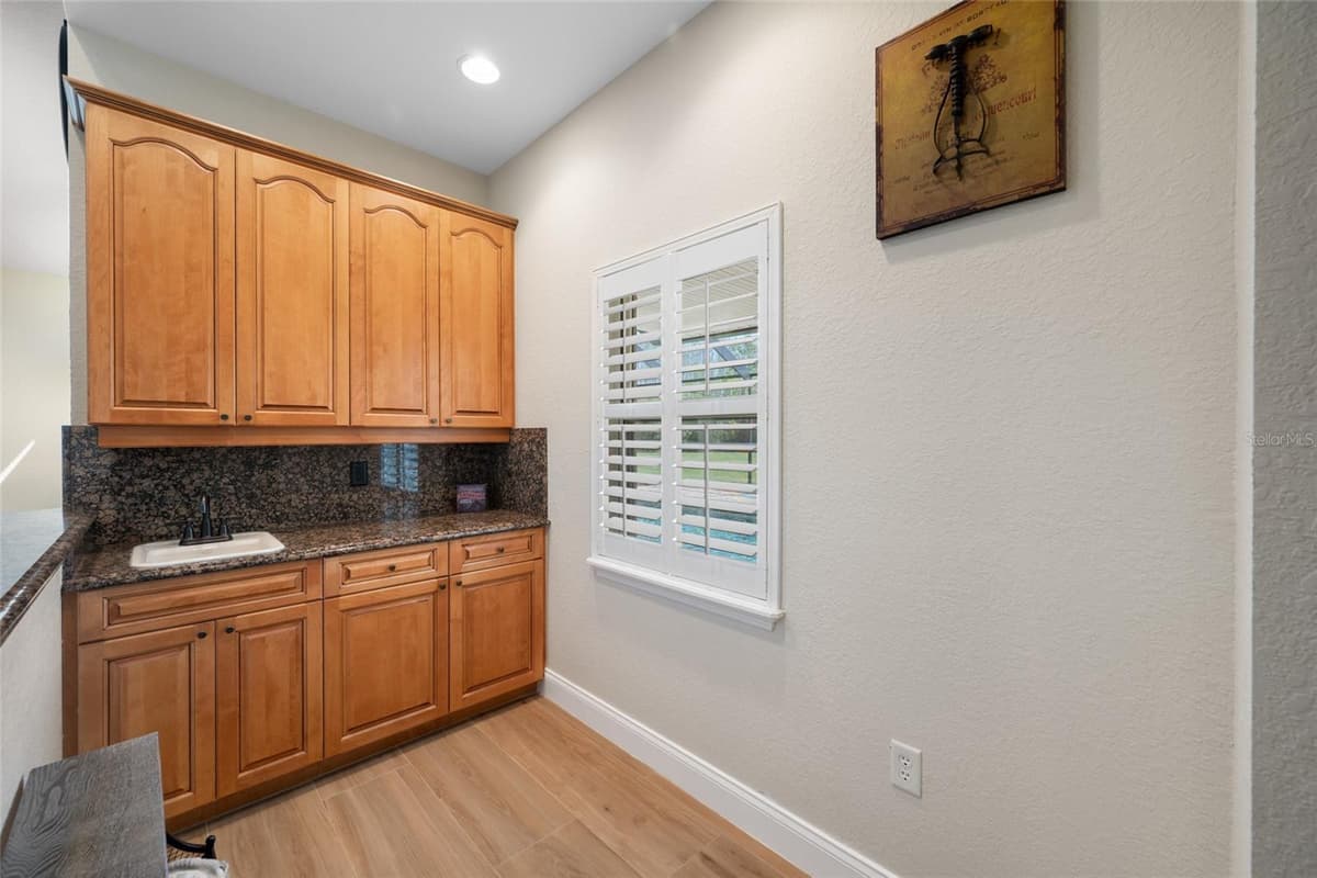 11939 PASCO TRAILS BOULEVARD — photo 32 of 64