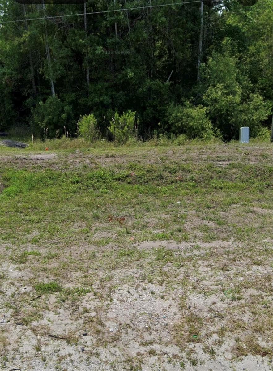 0 IRLO BRONSON MEMORIAL HIGHWAY — photo 1 of 3