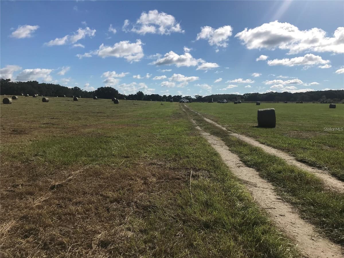 TBD 133RD — photo 2 of 3