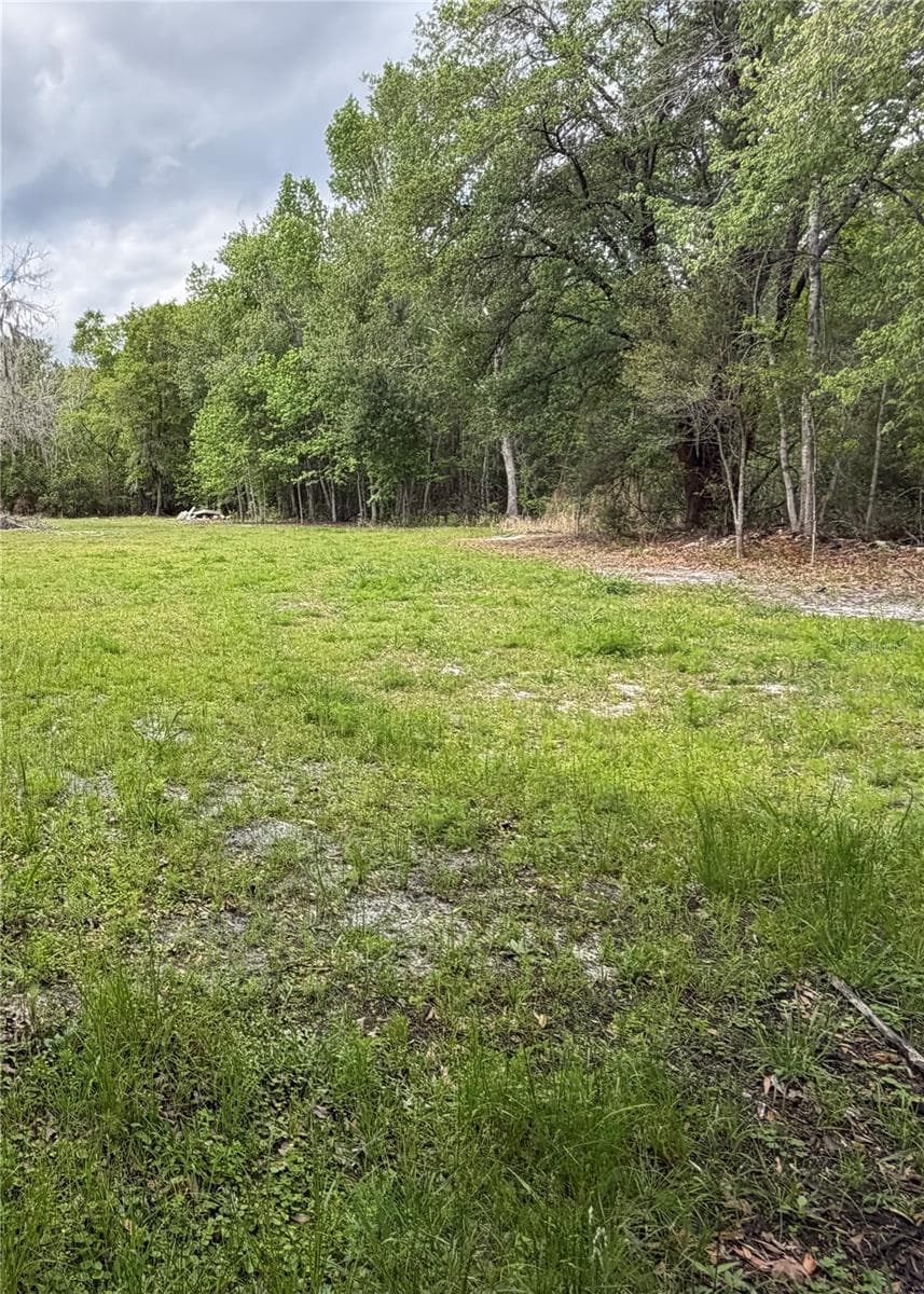 10033 COUNTY ROAD 225 — photo 10 of 27