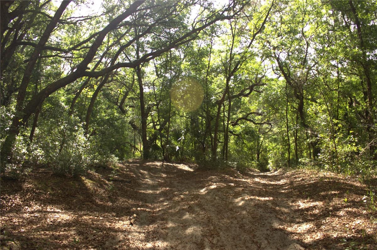 REDBUD ROAD — photo 3 of 10