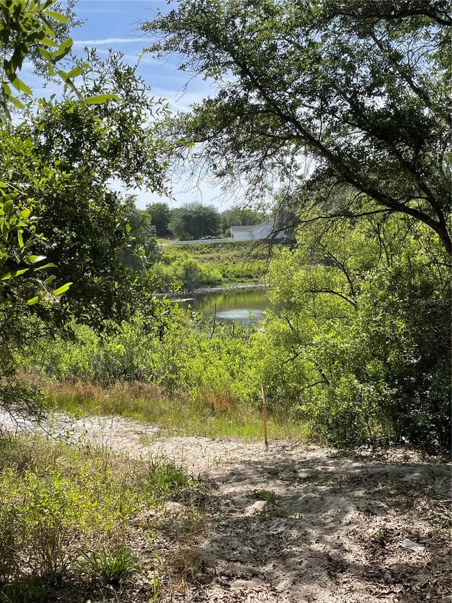 REDBUD ROAD — photo 4 of 10
