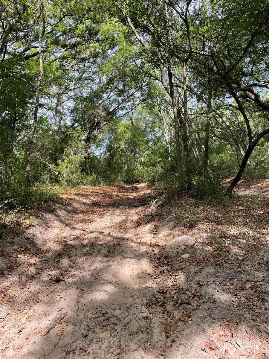 REDBUD ROAD — photo 8 of 10