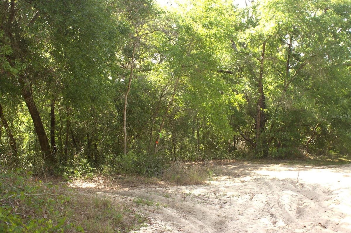 REDBUD ROAD — photo 6 of 10