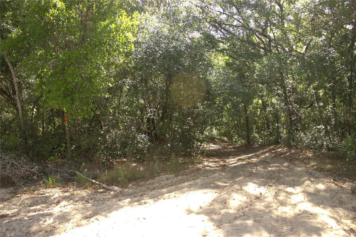 REDBUD ROAD — photo 2 of 10