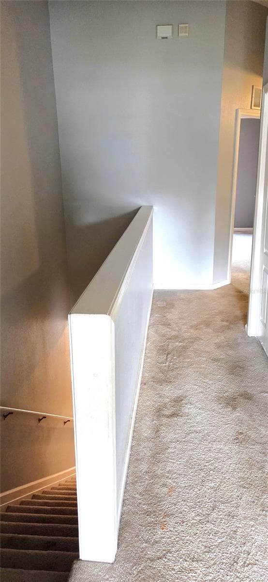 2729 CONCH HOLLOW DRIVE — photo 14 of 34