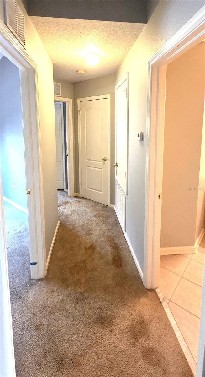 2729 CONCH HOLLOW DRIVE — photo 15 of 34