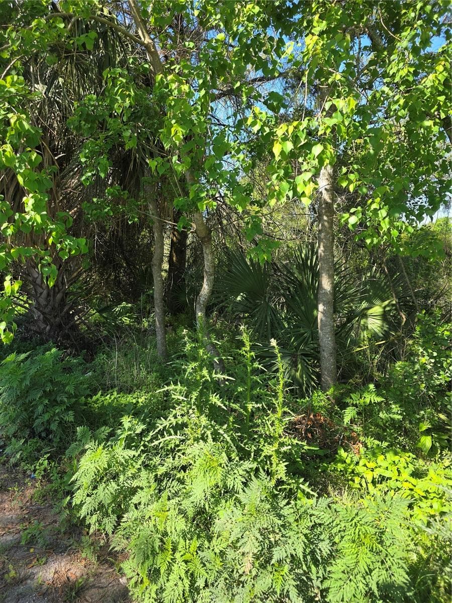 226 WALNUT AVENUE — photo 1 of 5