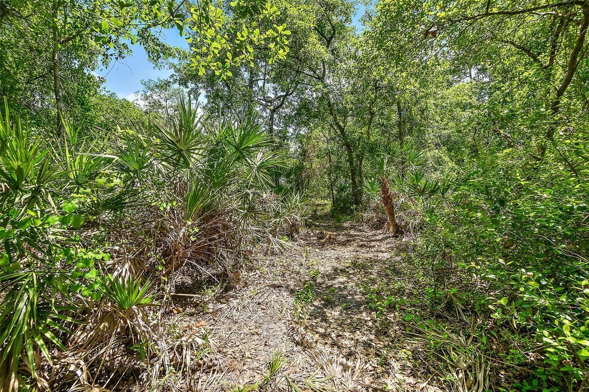 1370 BUCKLES ROAD — photo 48 of 59