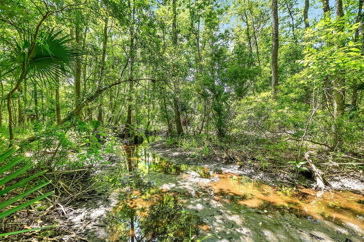 1370 BUCKLES ROAD — photo 50 of 59