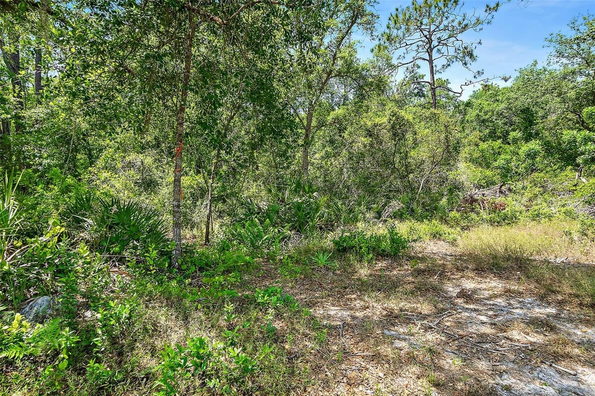 1370 BUCKLES ROAD — photo 47 of 59