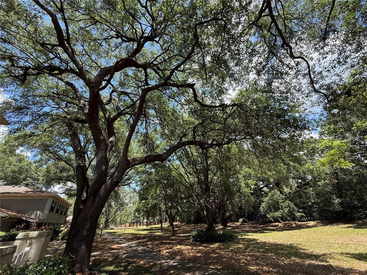 6322 TREETOP CIRCLE — photo 30 of 46