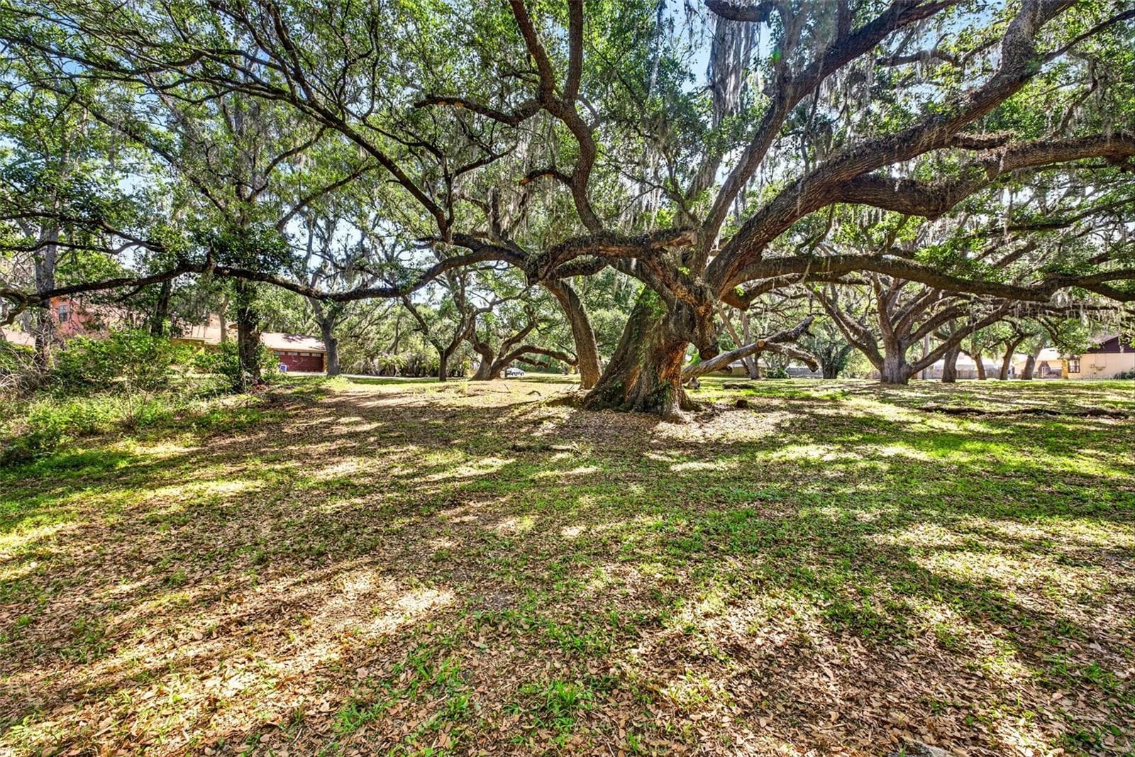 5355 BERNADETTE DR — photo 6 of 29