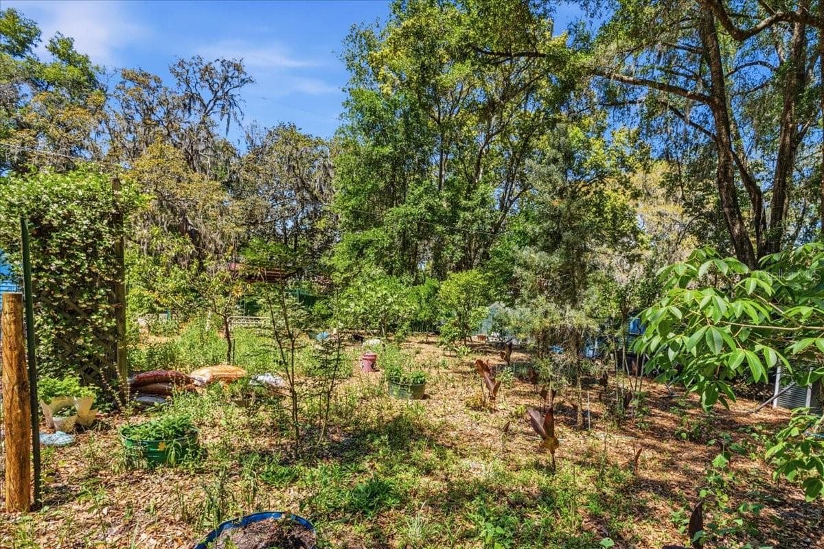 8386 AUSTIN ROAD — photo 66 of 74