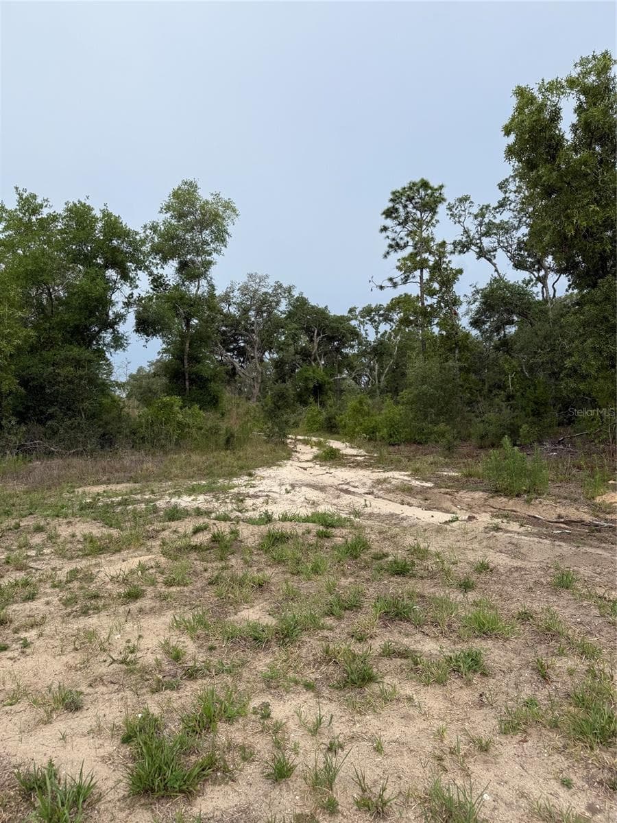 11656 FLORIDA AVENUE — photo 4 of 5