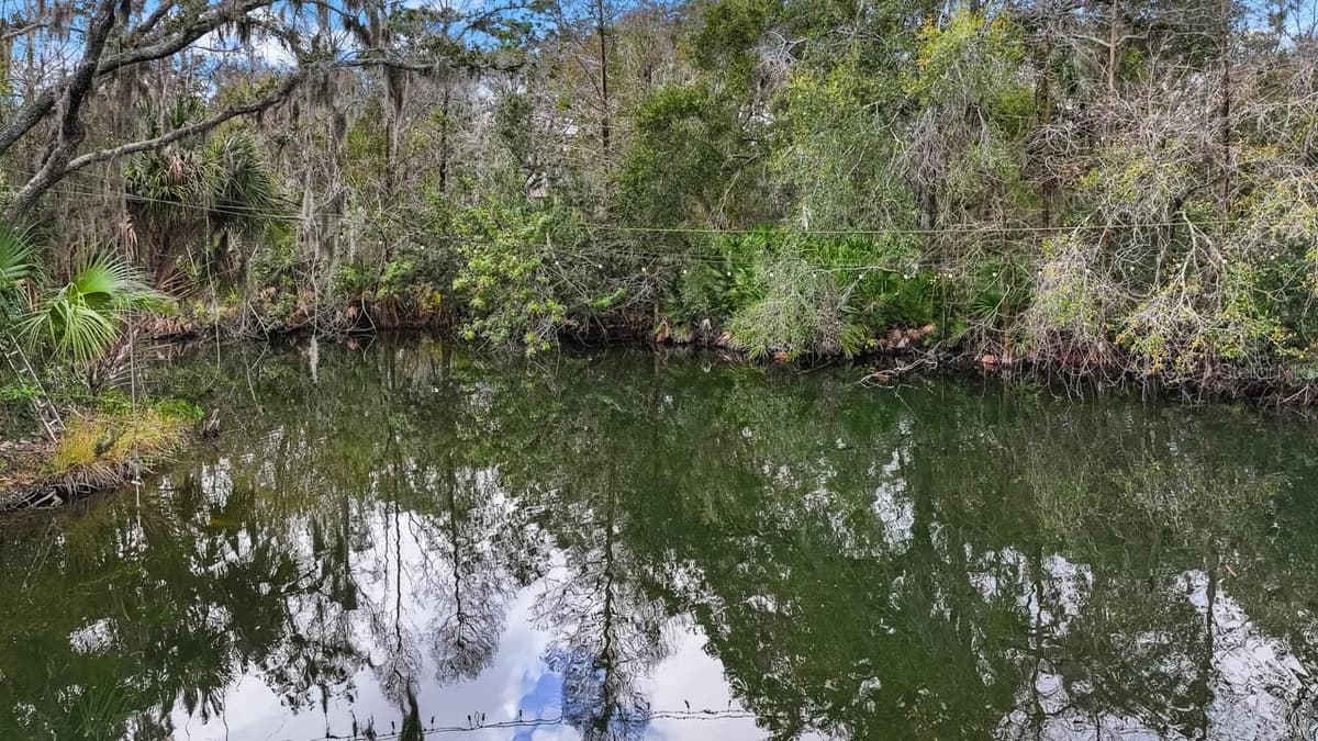 12730 BULLFROG CREEK ROAD — photo 7 of 41