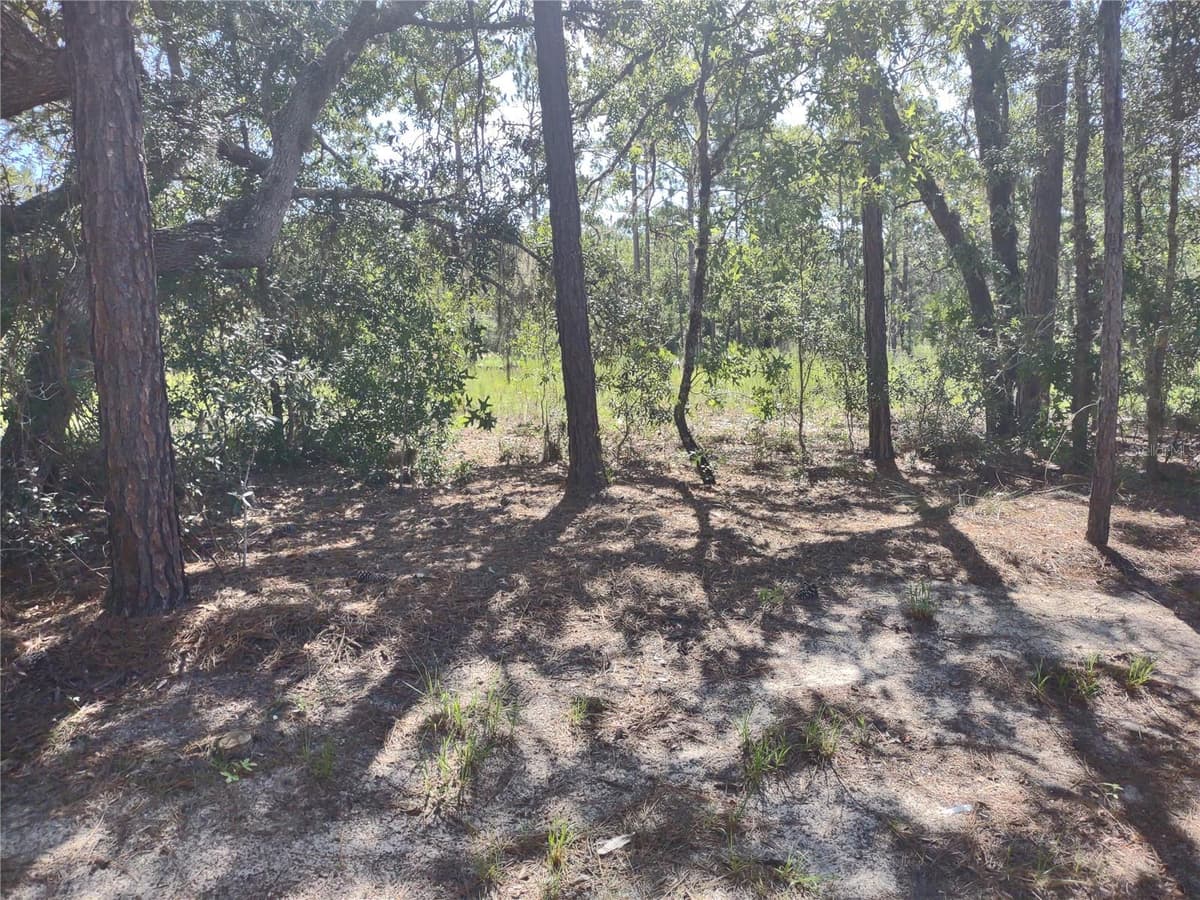 9325 TRAVIS DRIVE — photo 13 of 13