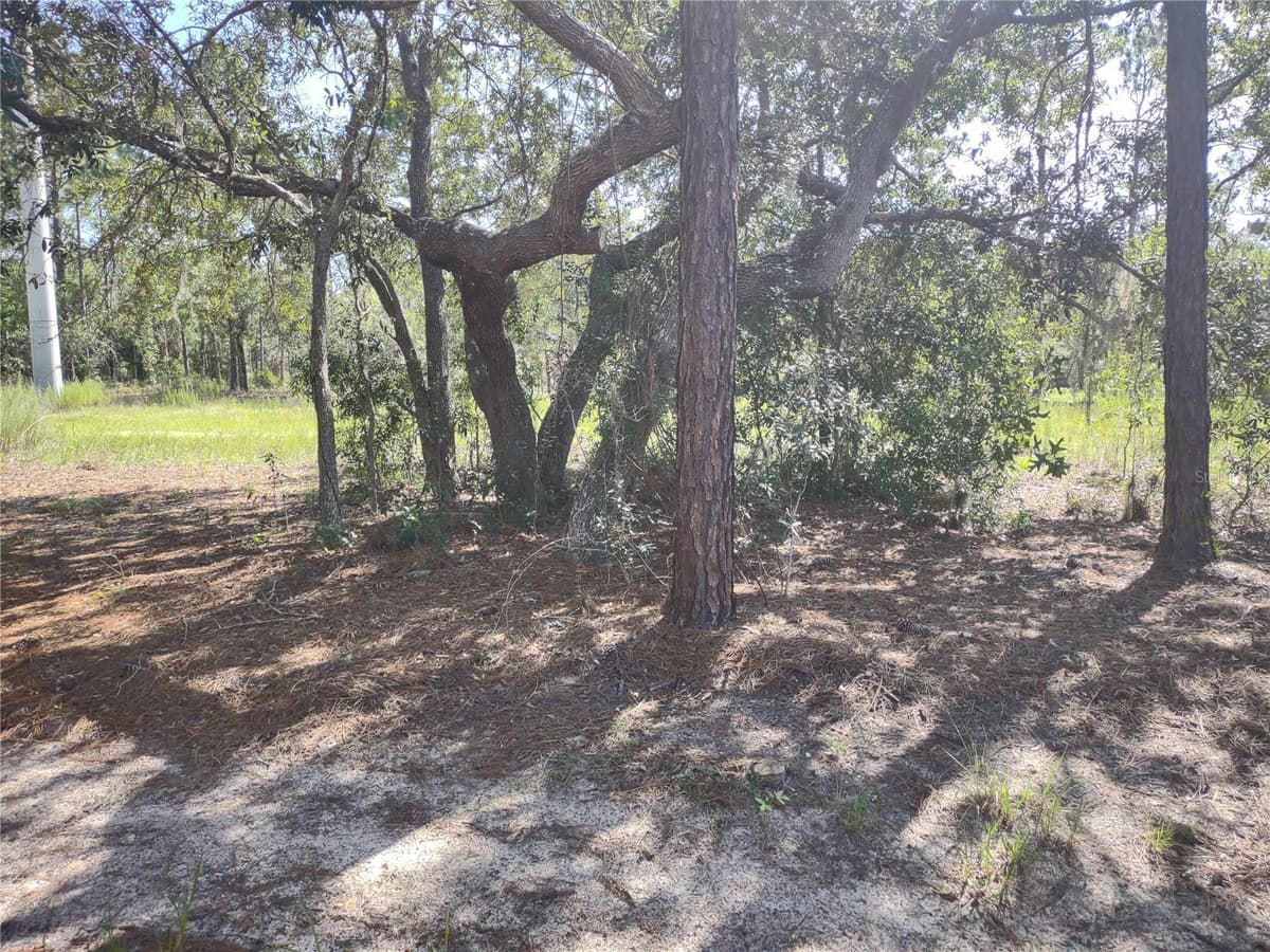 9325 TRAVIS DRIVE — photo 12 of 13