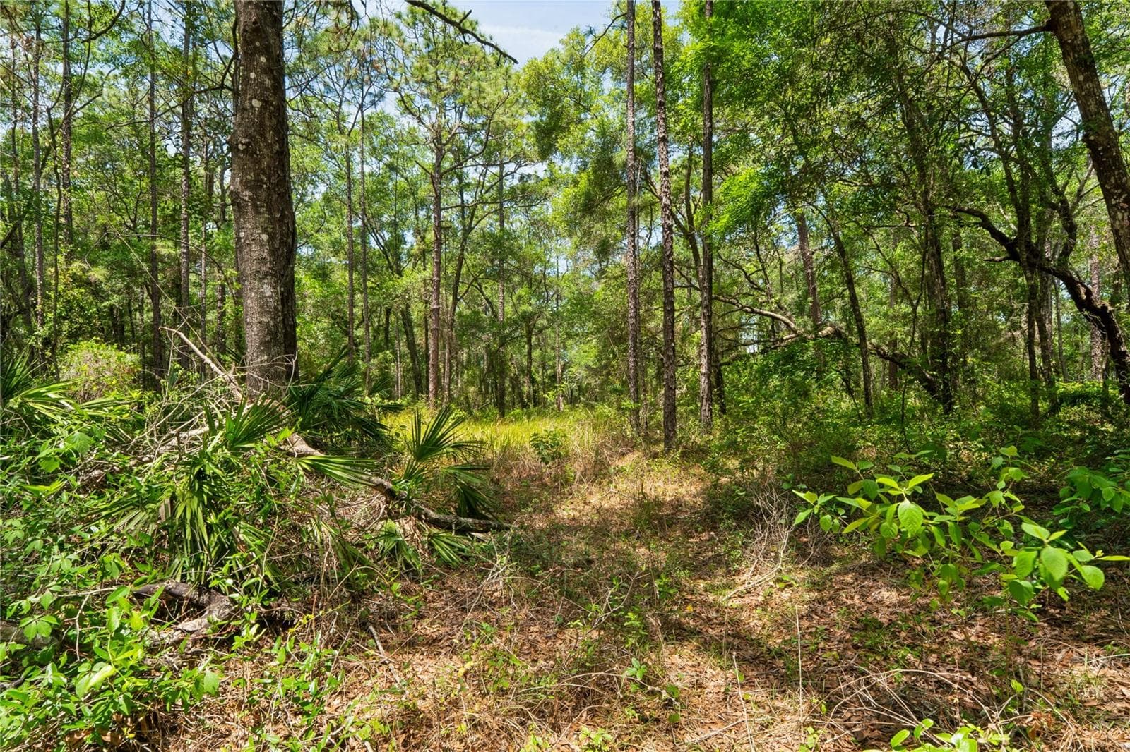 16225 BONZAI TRAIL — photo 55 of 80