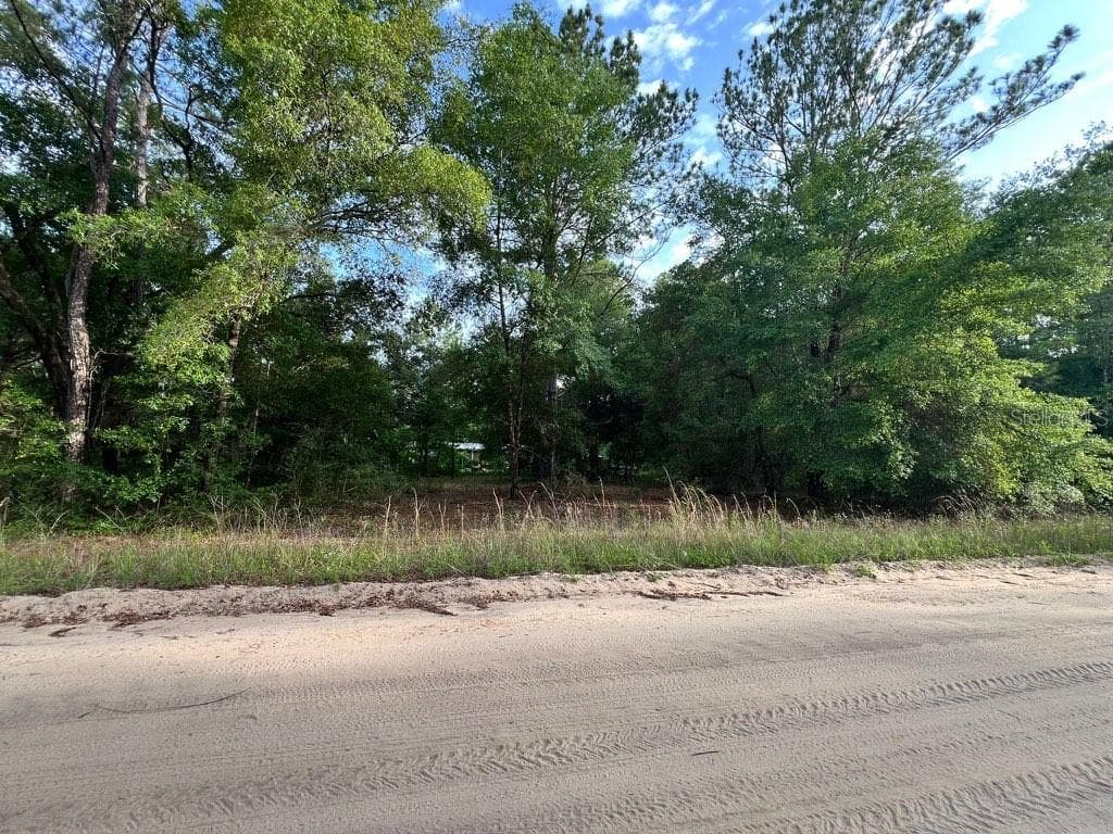 DECKER STREET LOT 12 13 — photo 1 of 6