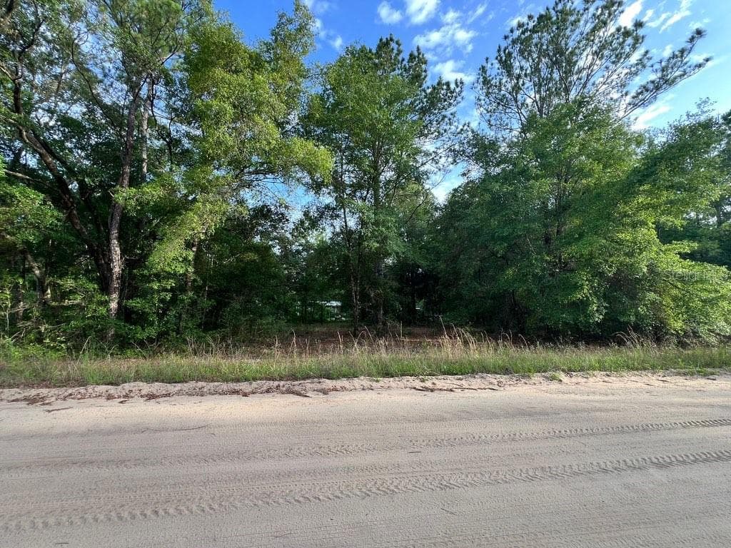 DECKER STREET LOT 12 13 — photo 5 of 6
