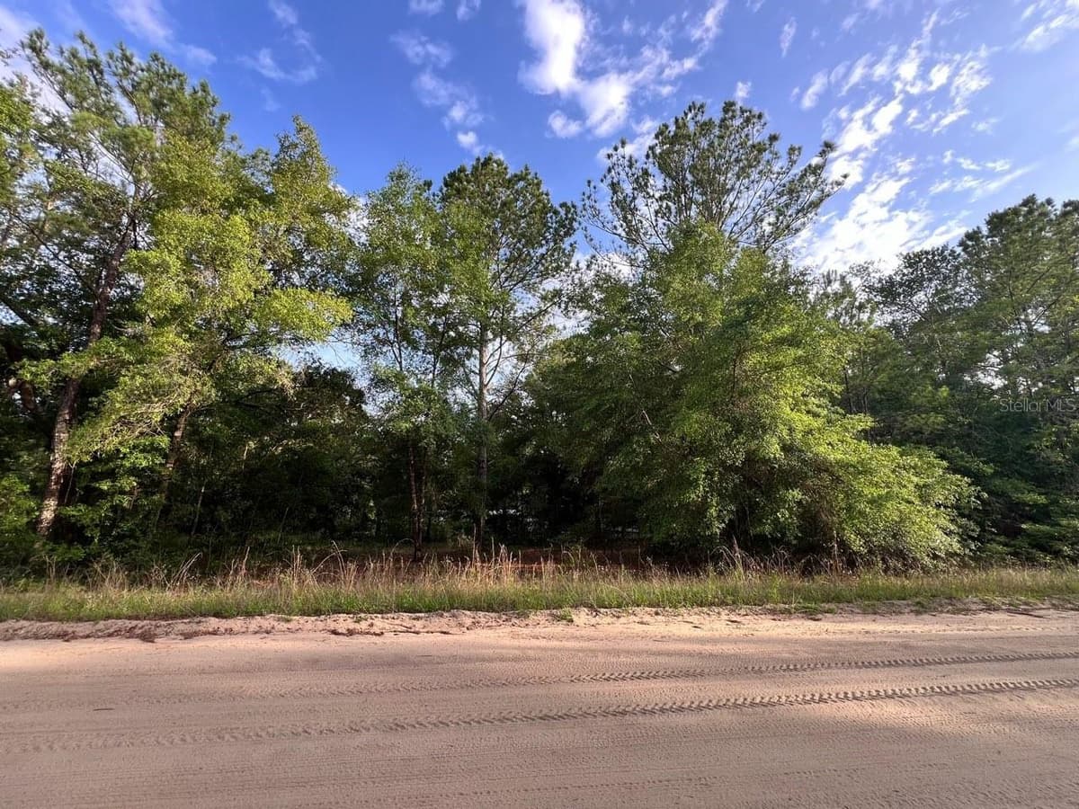 DECKER STREET LOT 12 13 — photo 4 of 6