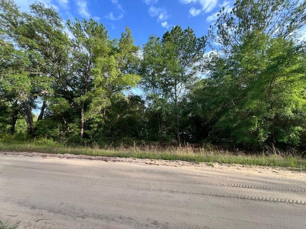 DECKER STREET LOT 12 13 — photo 3 of 6