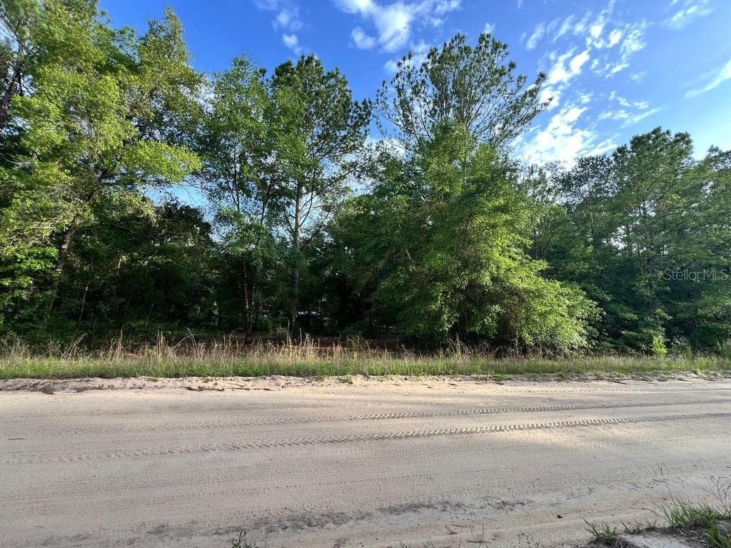 DECKER STREET LOT 12 13 — photo 2 of 6