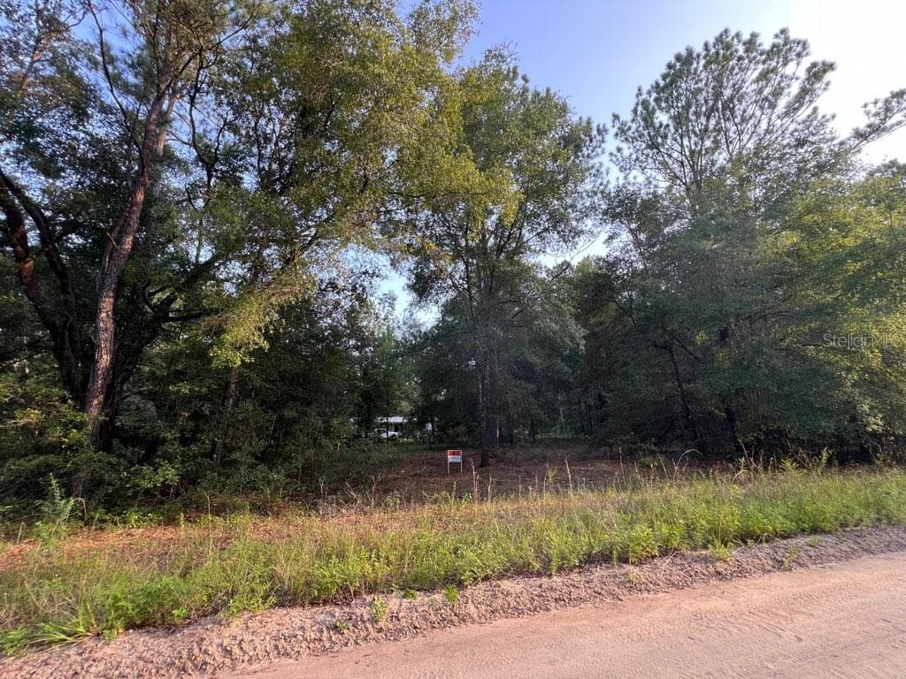 DECKER STREET LOT 12 13 — photo 6 of 6