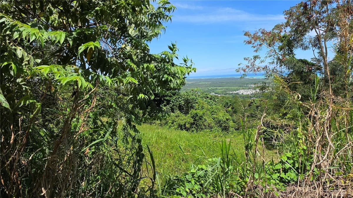 Zarzal Arriba CARR. 966 KM 2.3 — photo 4 of 8