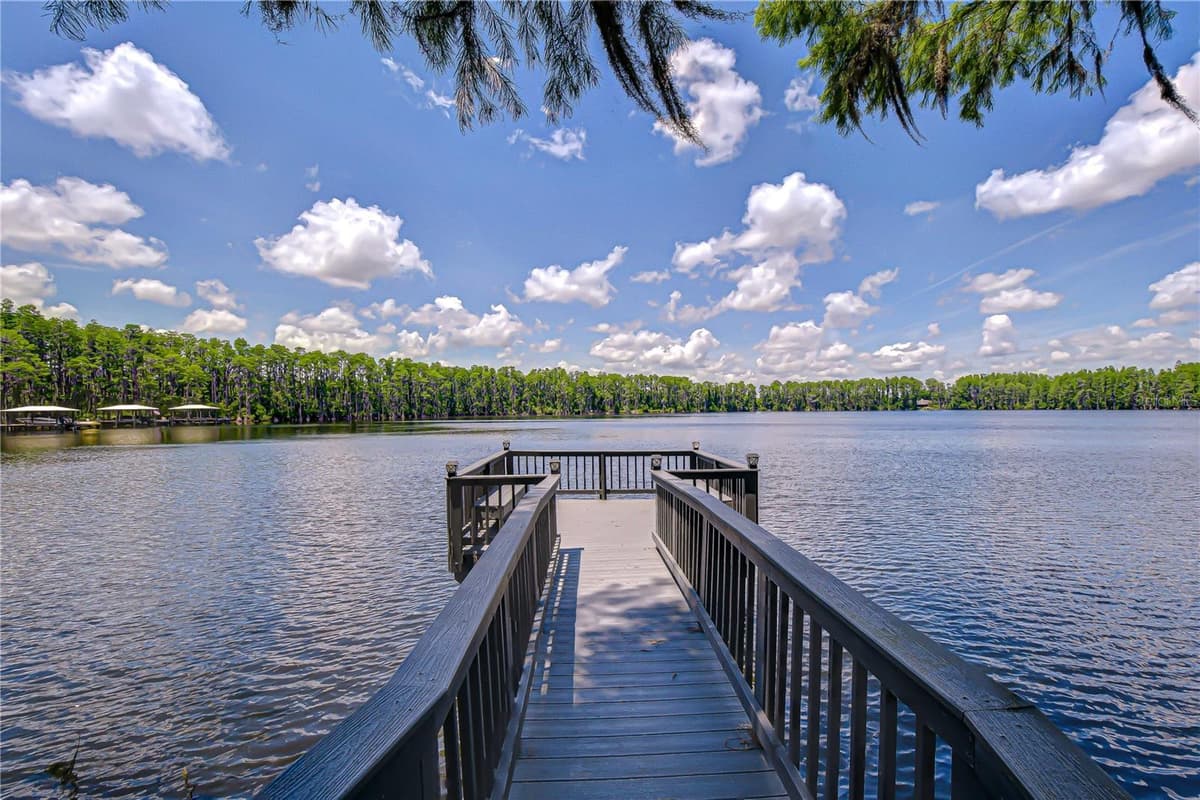 20915 LAKE VIENNA DRIVE — photo 41 of 45