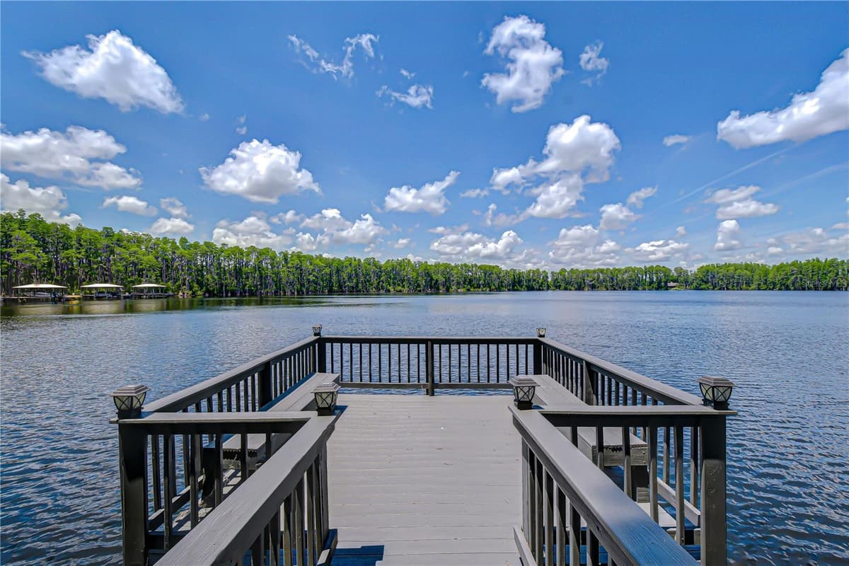 20915 LAKE VIENNA DRIVE — photo 3 of 45