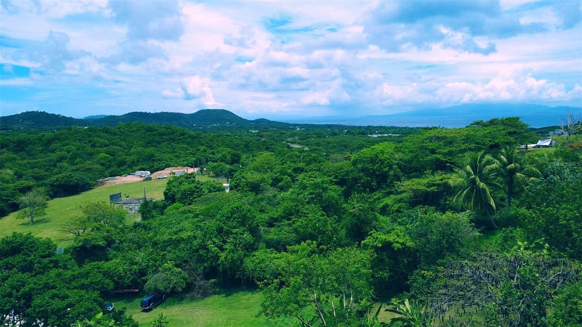 214  VILLA BORINQUEN — photo 2 of 8