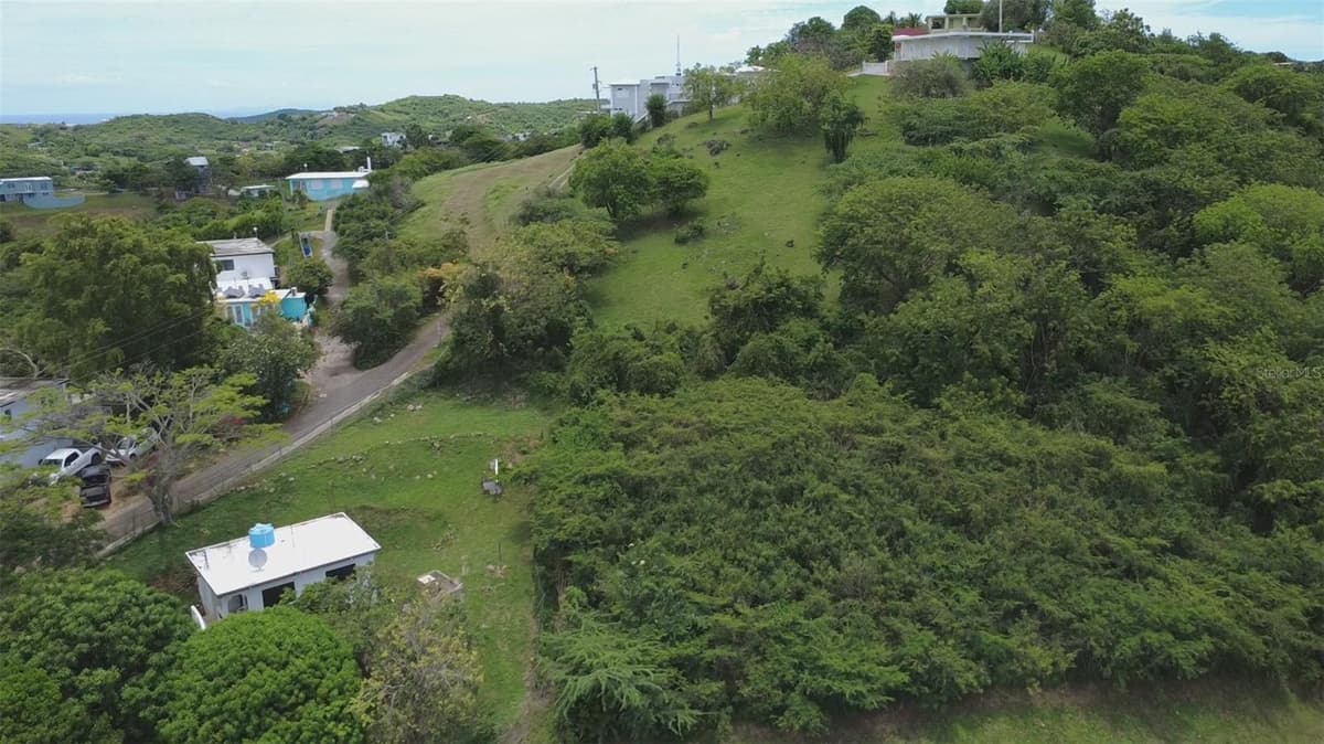 214  VILLA BORINQUEN — photo 3 of 8