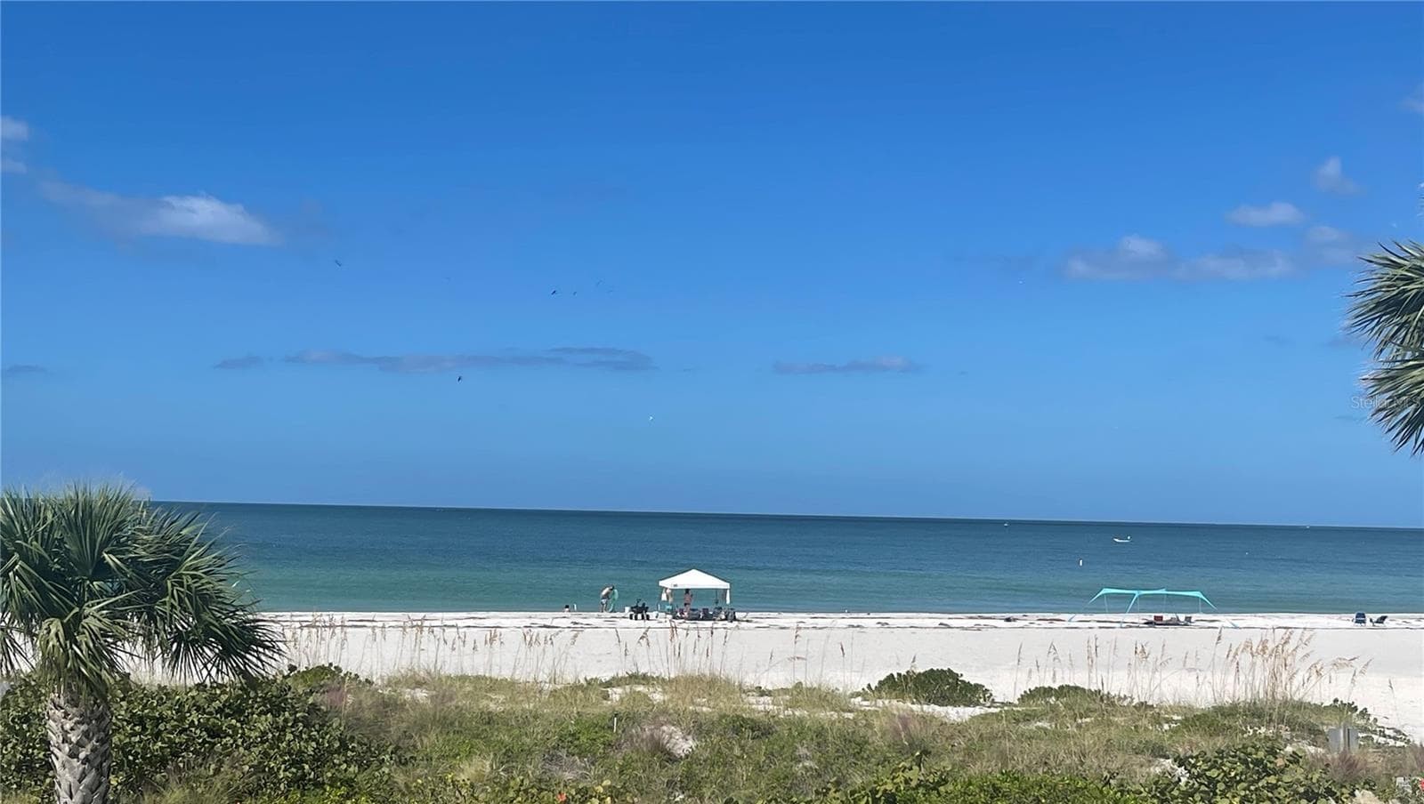 1390 GULF BOULEVARD — photo 57 of 60