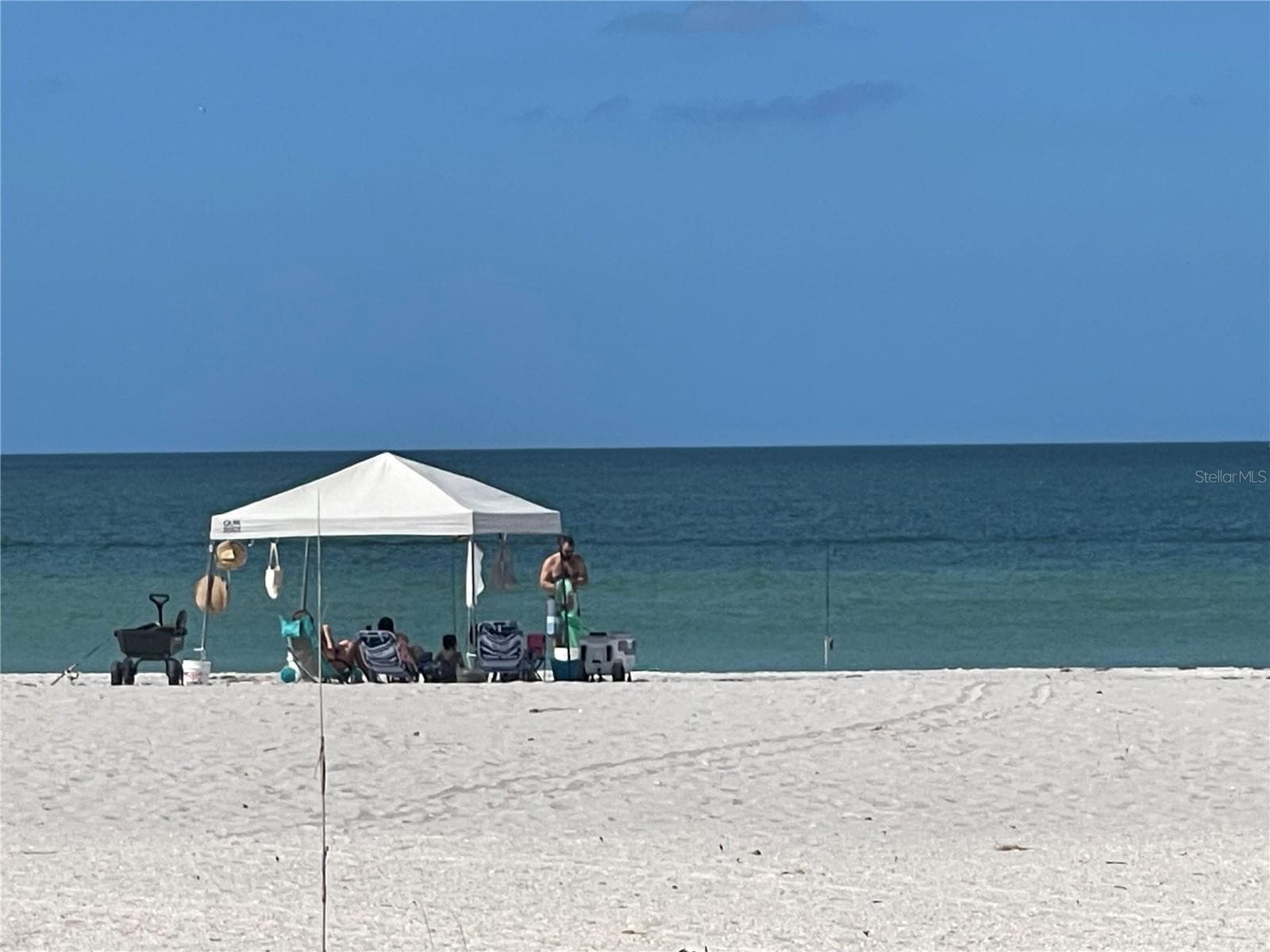 1390 GULF BOULEVARD — photo 56 of 60