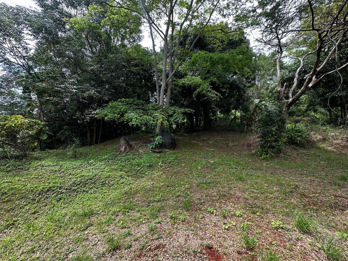 PR-354 KM 6.4 MARINI COMMUNITY - QUEMADO WARD — photo 4 of 6