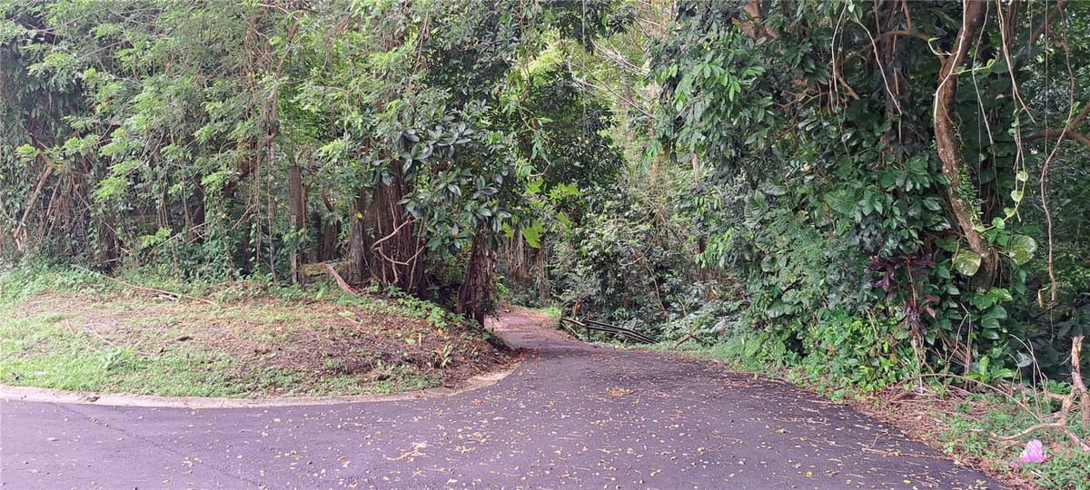 BARRIO MAMEYES — photo 2 of 5
