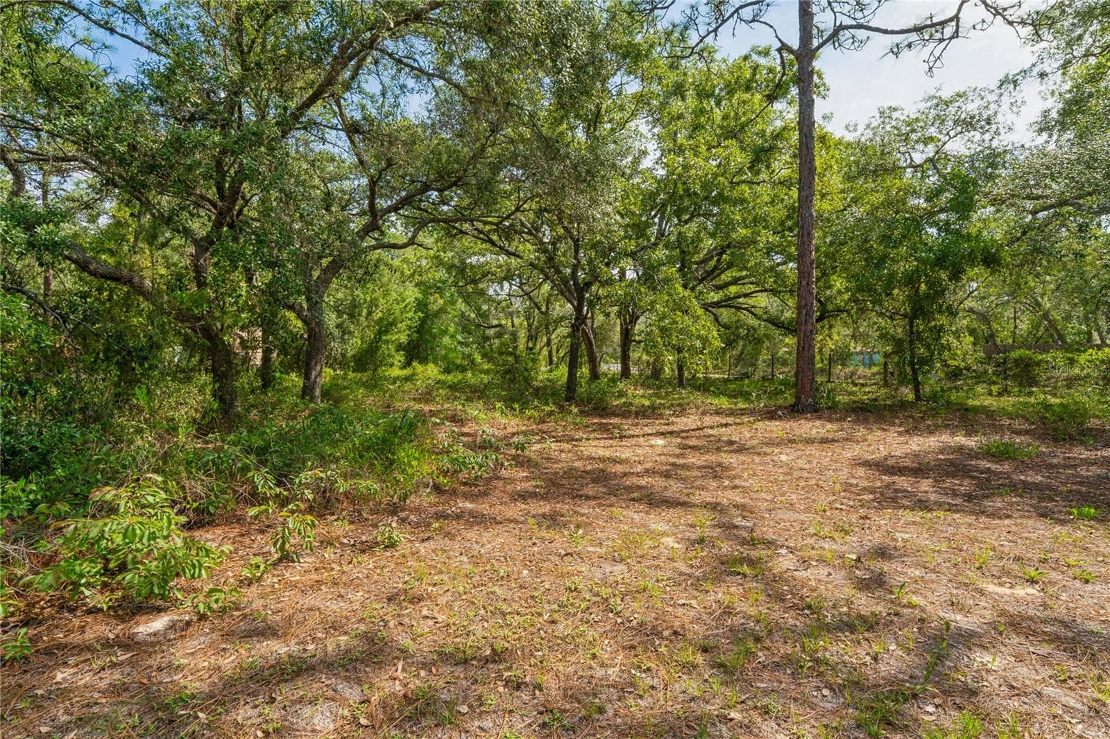 14345 MISSOURI SKYLARK ROAD — photo 33 of 47