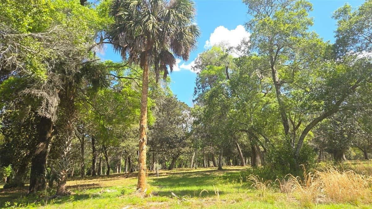 2140 ST JOHNS RIVER ROAD — photo 39 of 43