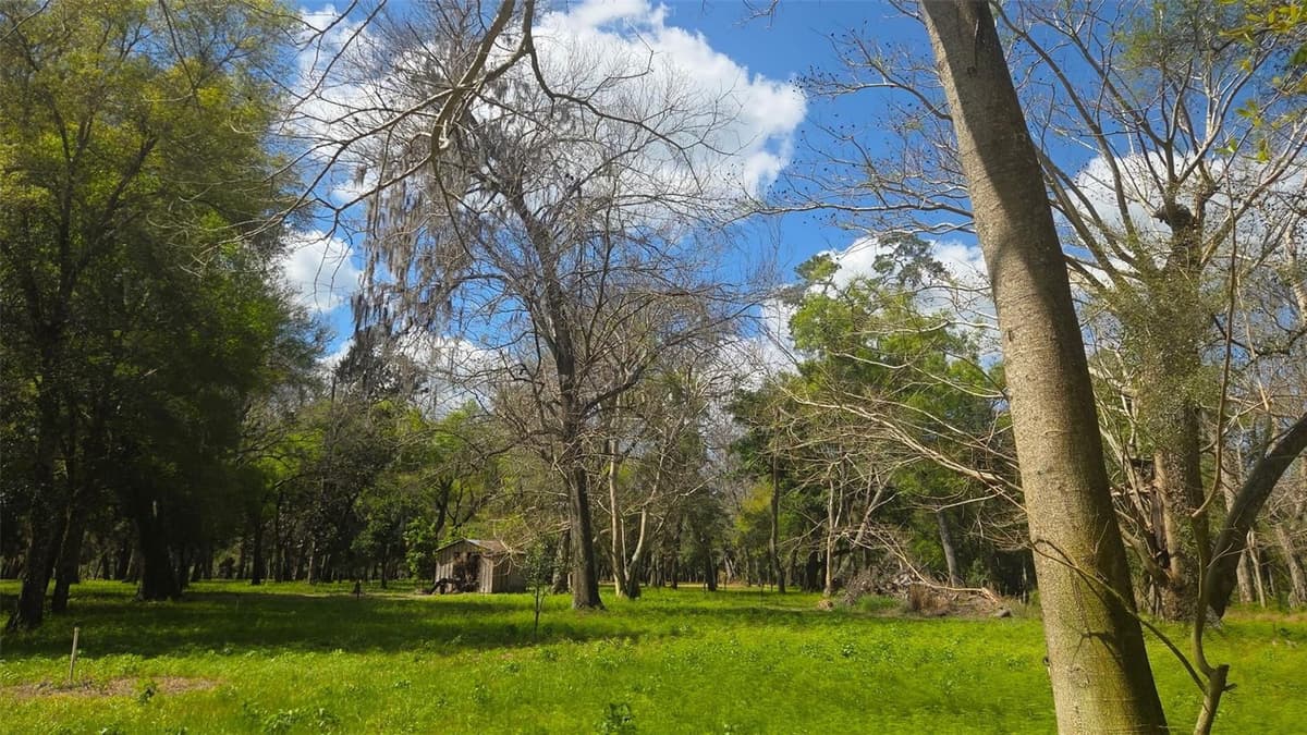 2140 ST JOHNS RIVER ROAD — photo 41 of 43