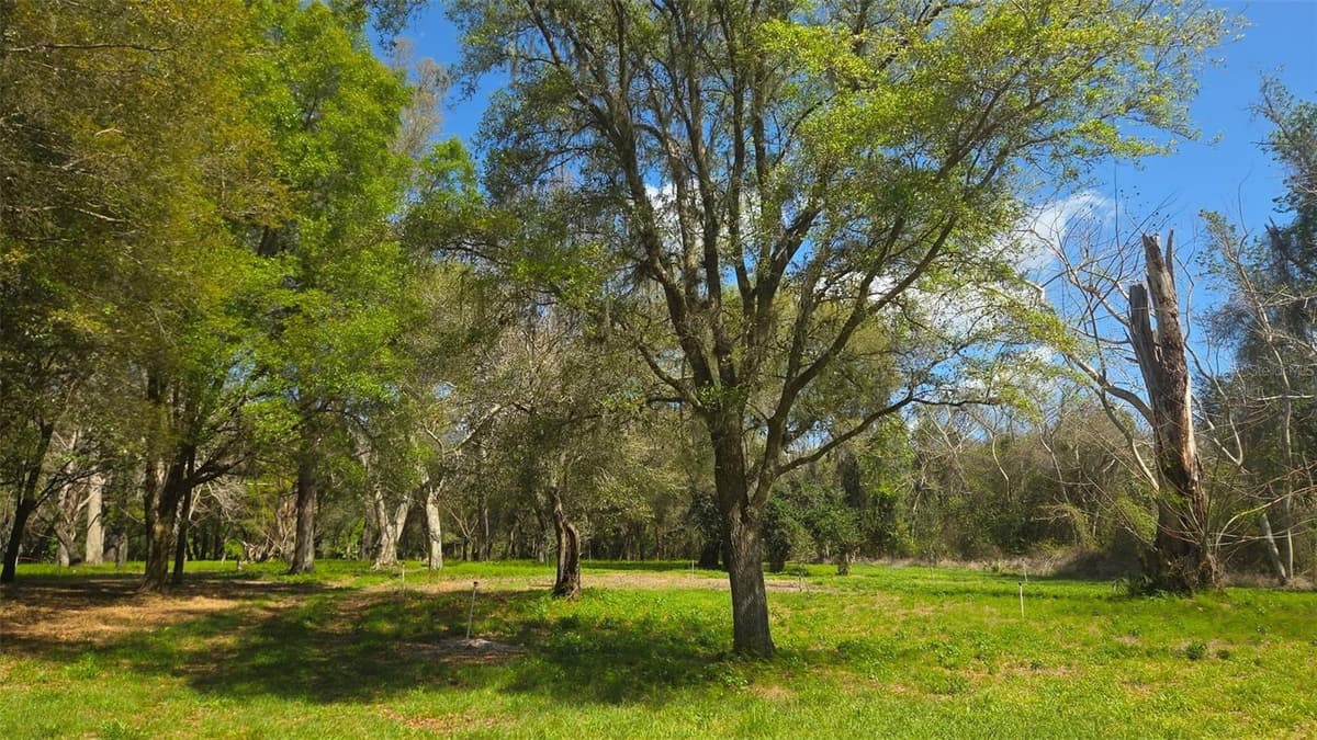 2140 ST JOHNS RIVER ROAD — photo 43 of 43