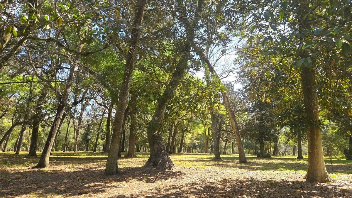 2140 ST JOHNS RIVER ROAD — photo 37 of 43