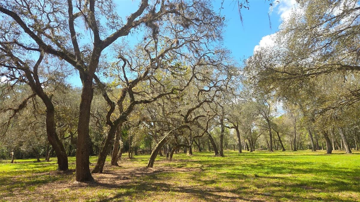 2140 ST JOHNS RIVER ROAD — photo 40 of 43